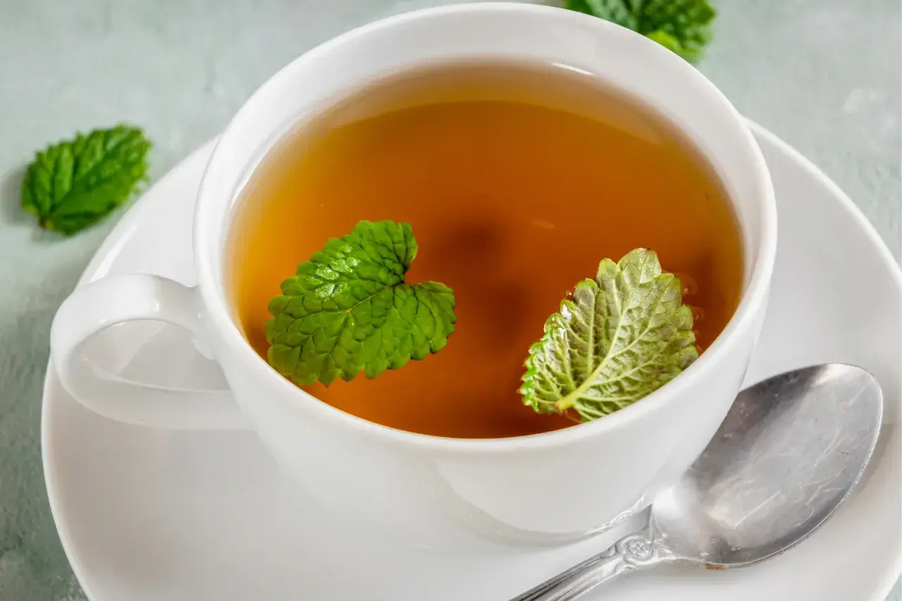 lemon balm tea recipe for weight loss​