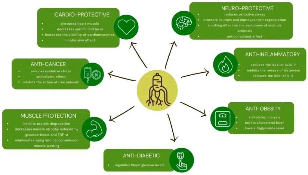 improves skin health and anti-aging