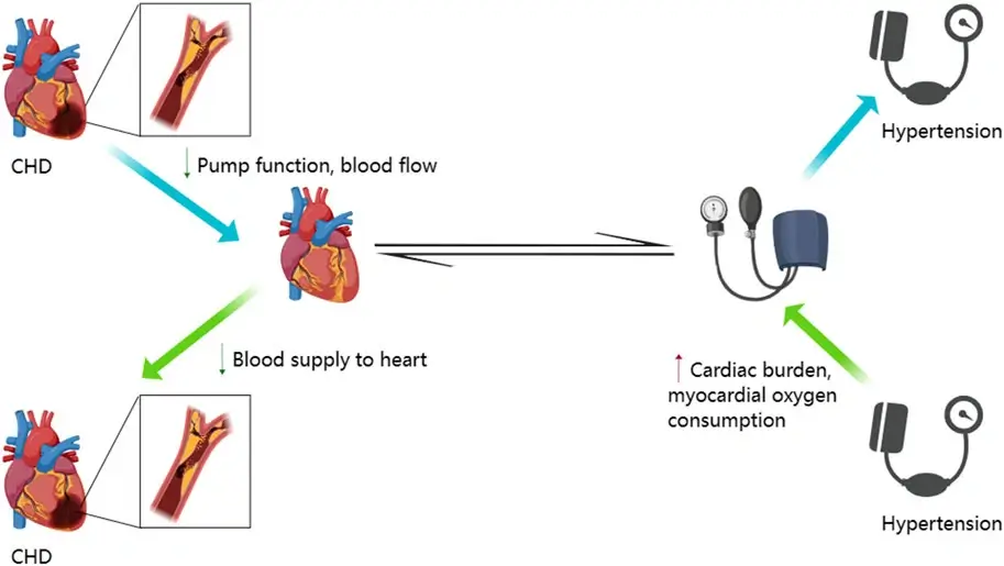 promotes heart health