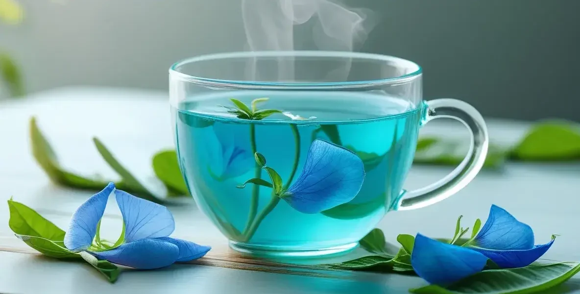 butterfly pea flower tea and pregnancy