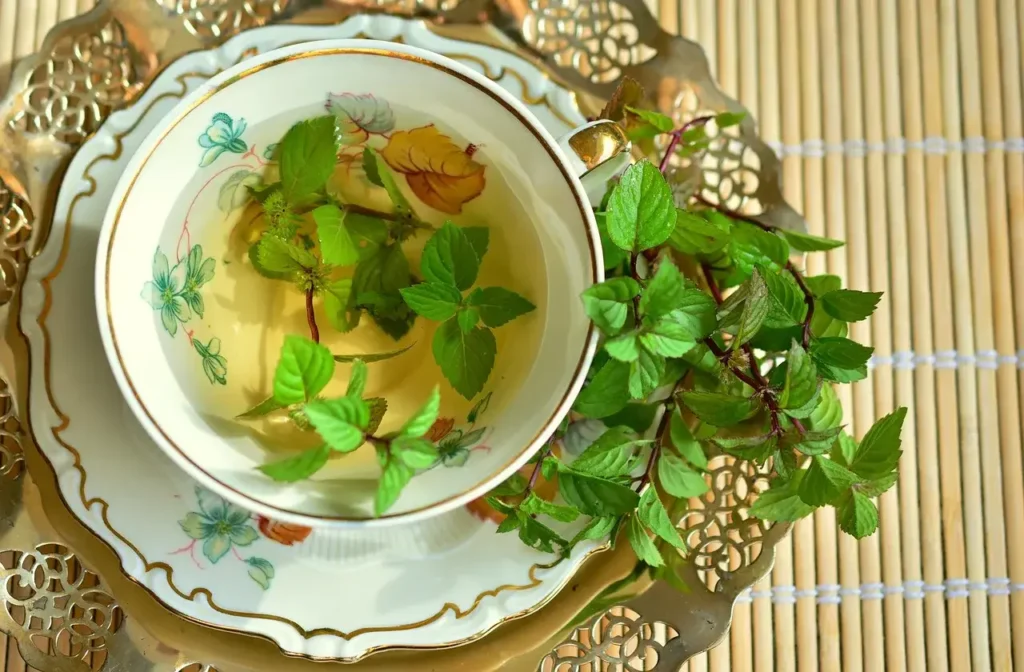improve digestive health with mint tea