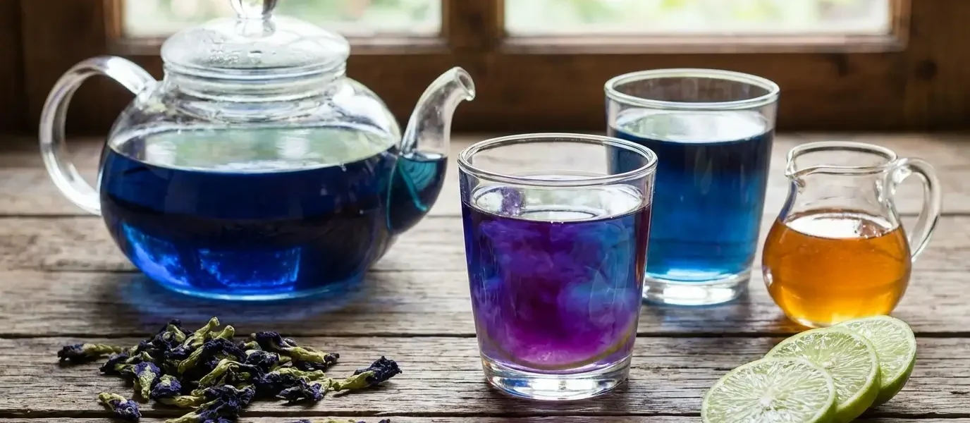 butterfly pea flower tea for sleep